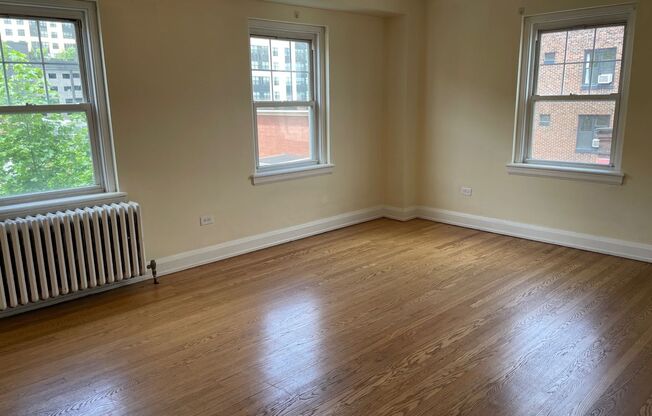Studio, 1 bath, 301 sqft, $1,425, Unit Wellington 509