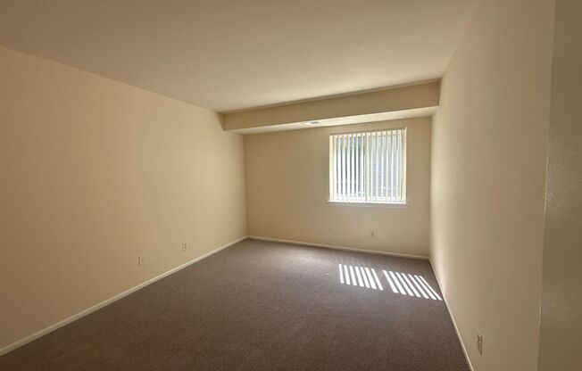 1 bed, 1 bath, 745 sqft, $1,650, Unit 14204 #104