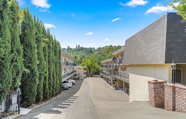 3663 Mt. Diablo Blvd.