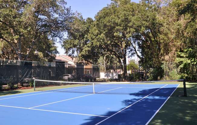 Valrico Station Tennis Courts