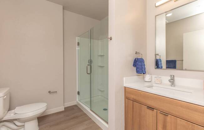 A bathroom with a toilet, sink, and shower.