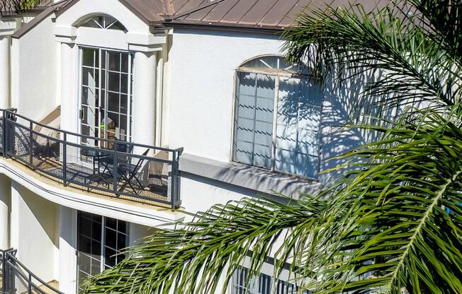 Apartment exteriors with palm tree