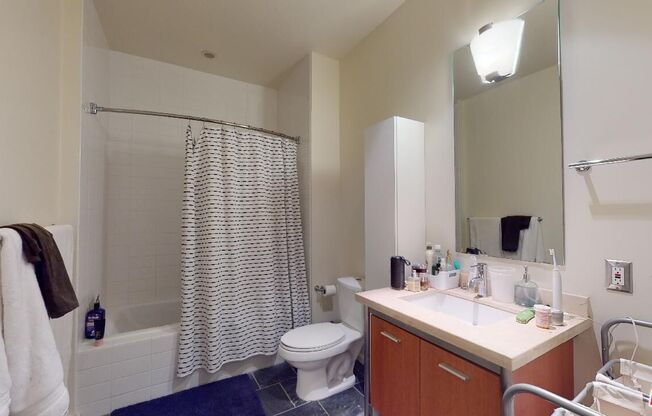 1 bed, 1 bath, 900 sqft, $3,200, Unit 1315