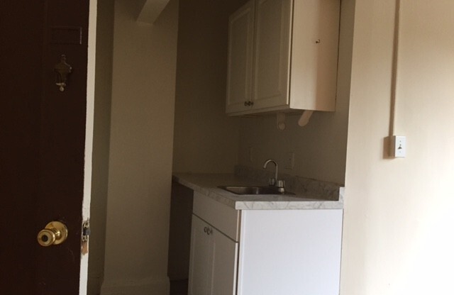 Studio, 1 bath, 275 sqft, $950, Unit 213A