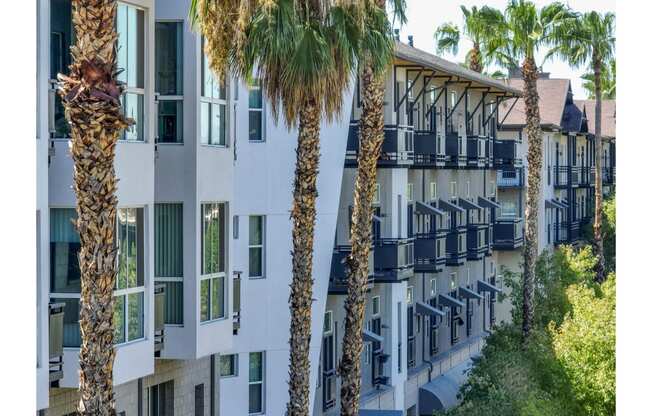 exterior view of Roosevelt Square luxury apartments