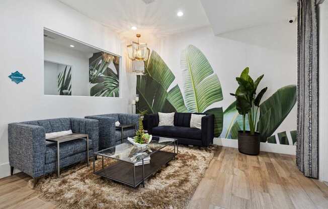 A living room with a grey sofa, a black couch, a glass coffee table, and a large plant.