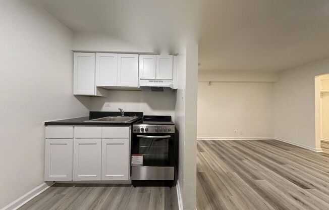 Studio, 1 bath, 295 sqft, $925, Unit B9