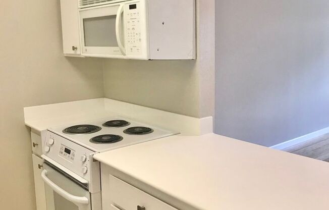 1 bed, 1 bath, 595 sqft, $2,895, Unit 203