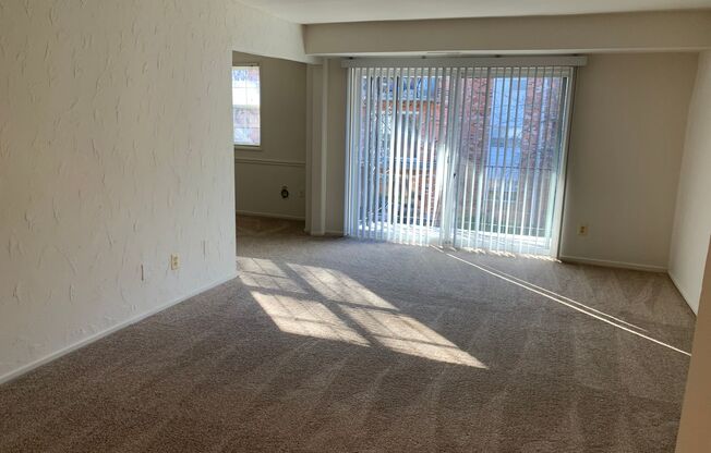1 bed, 1 bath, 723 sqft, $1,775, Unit 5331 #4