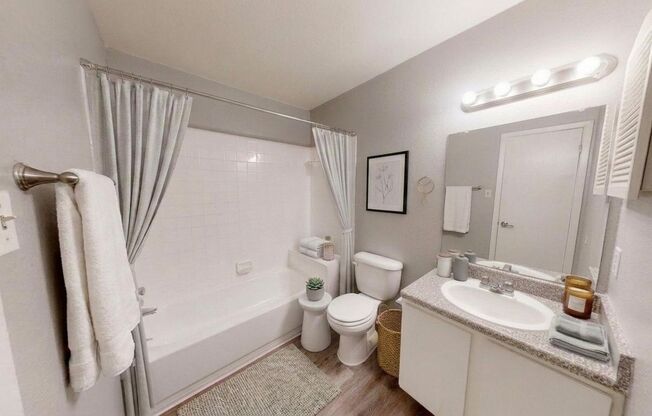 1 bed, 1 bath, 545 sqft, $899