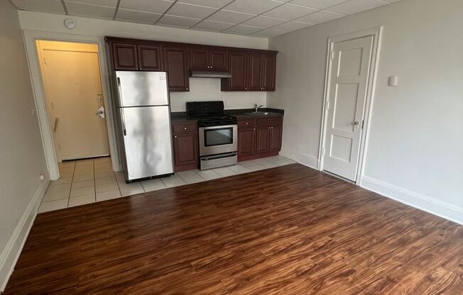 Studio, 1 bath, 224 sqft, $1,000, Unit 917