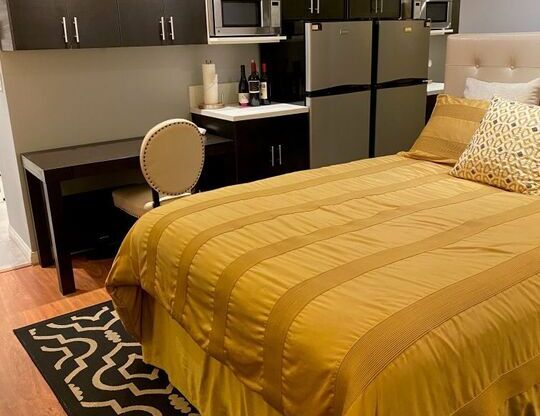 Studio, 1 bath, 450 sqft, $2,200, Unit 101