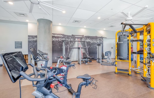 a gym with cardio equipment and a mural of a bridge on the wall