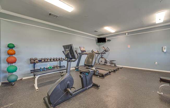 A gym with treadmills, elliptical machines, and exercise balls.