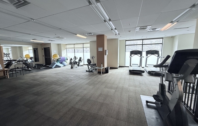 Studio, 1 bath, 477 sqft, $2,625, Unit 206