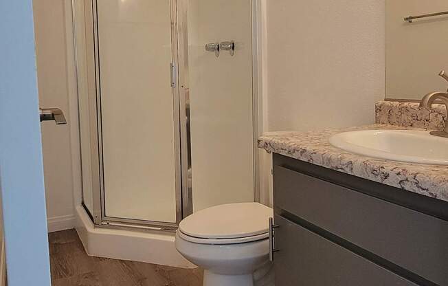 a bathroom with a toilet and a shower and a sink