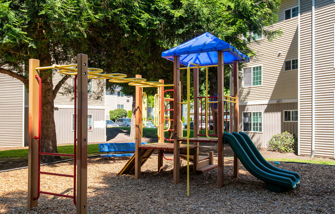 Riverwood play structure