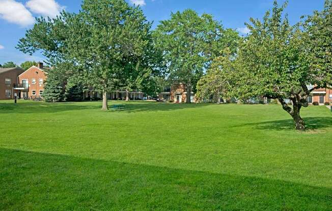 Professional Landscaping