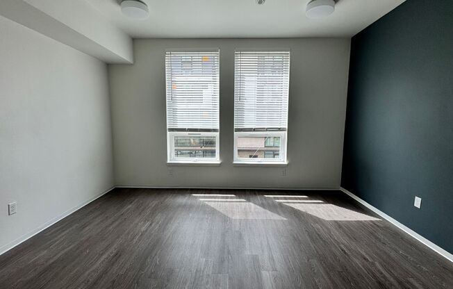 Studio, 1 bath, 317 sqft, $1,095, Unit 207
