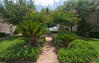 Outdoor Courtyard with Surrounding Foliage