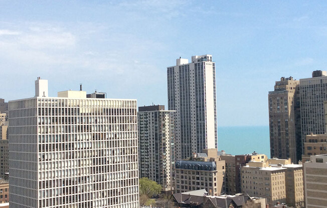 Gorgeous City View at 14 West Elm Apartments, Chicago,Illinois