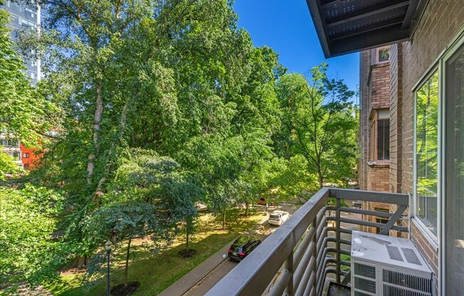 1 bed, 1 bath, 491 sqft, $1,375, Unit 403