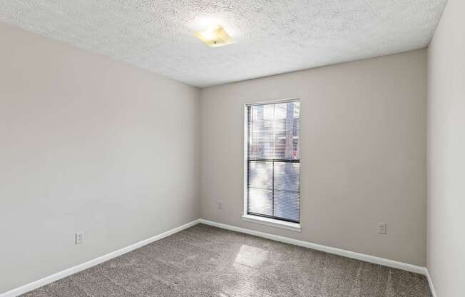 A room with a window and a carpeted floor.