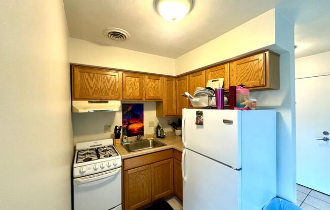 Studio, 1 bath, $725, Unit 311