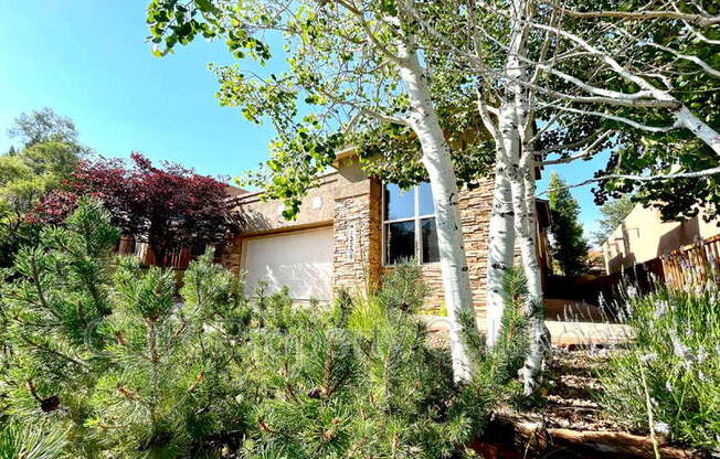 13208 PINE FRST PL NE