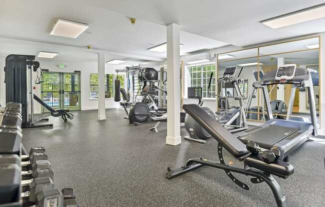 a gym with cardio equipment and weights