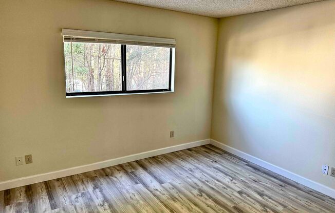 1 bed, 1 bath, 800 sqft, $2,150, Unit #204