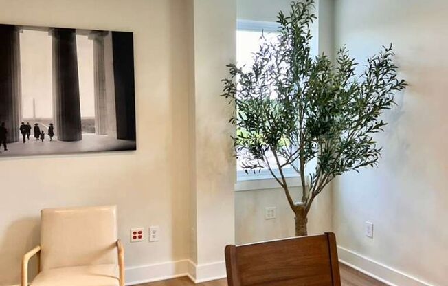 1 bed, 1 bath, 517 sqft, $1,858, Unit 1845-505