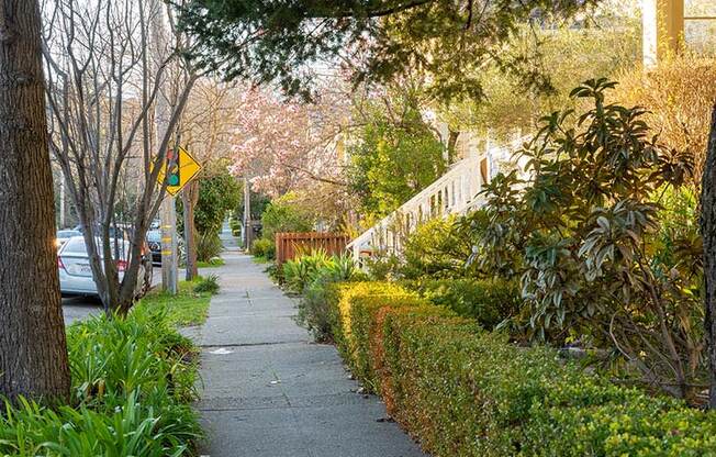 Sidewalk along street and buildings at 215 BAYVIEW APARTMENTS, San Rafael, California