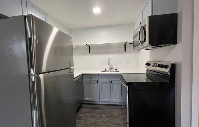 1 bed, 1 bath, 555 sqft, $1,550, Unit 202