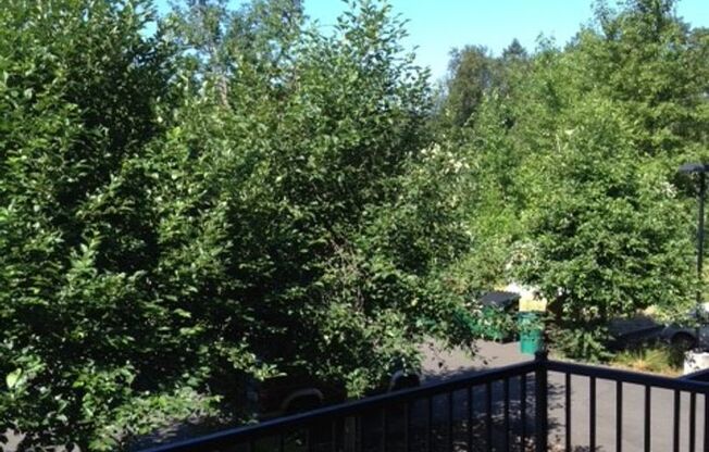 1 bed, 1 bath, 590 sqft, $1,300, Unit 2