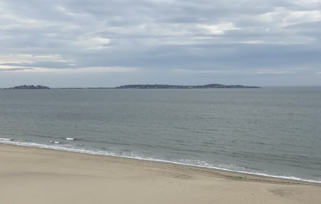 2 beds, 2 baths, 1,110 sqft, $3,100, Unit 6B