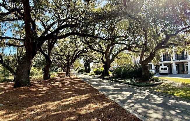 2 beds, 2 baths, $2,300, Unit Unit 1203