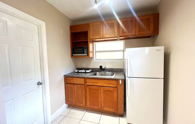 Studio, 1 bath, $1,250, Unit 223-22