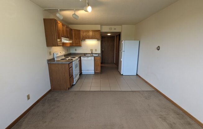 Studio, 1 bath, 310 sqft, $1,150, Unit 408