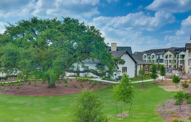 a large tree in front of a house on a green field at Legacy at Cibolo, Boerne, 78006