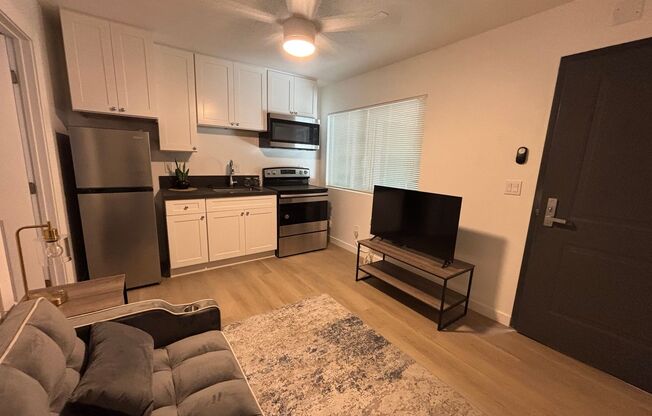 1 bed, 1 bath, 378 sqft, $1,883, Unit A-102
