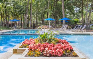 a colorful flower garden in front of a pool