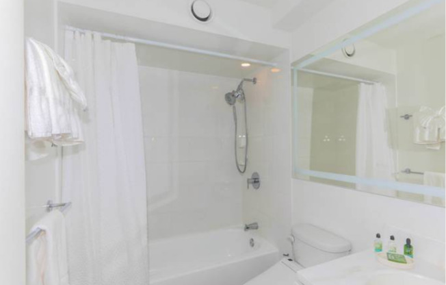 1 bed, 1 bath, $3,000, Unit # 1213