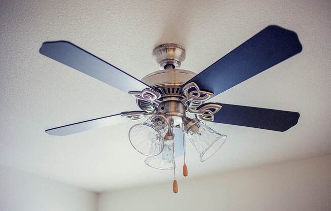 Ceiling Fan