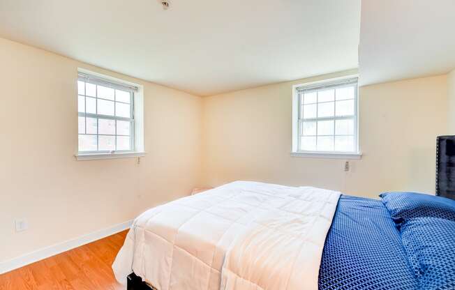 bedroom with large windows at park vista apartments in washington dc