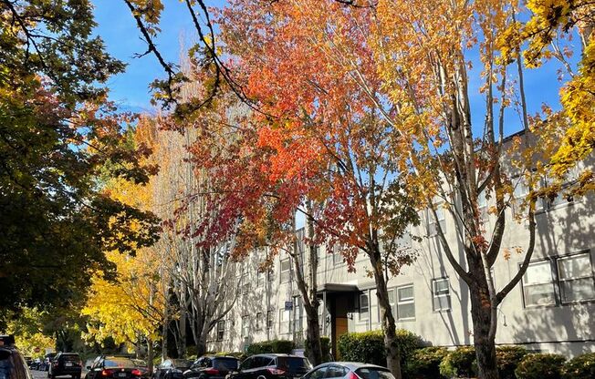 Forestry Court Apartments
