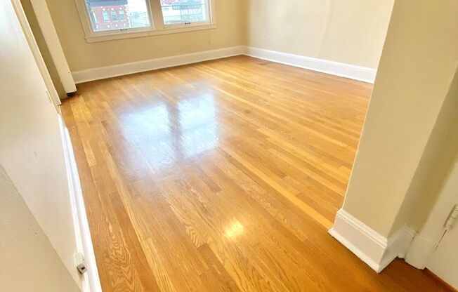 Studio, 1 bath, 325 sqft, $1,250, Unit 307