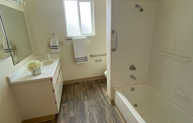 Studio, 1 bath, 462 sqft, $1,295, Unit 225