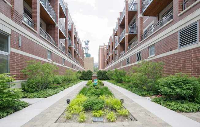 A long walkway with plants on either side leading to a building.