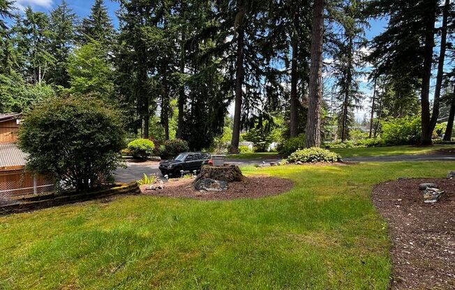 Gorgeous 3 BD 2.25 BA Home on 2 Acres!